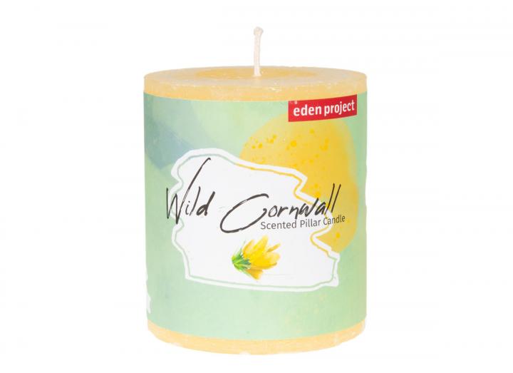 Eden Project Wild Cornwall scented pillar candle
