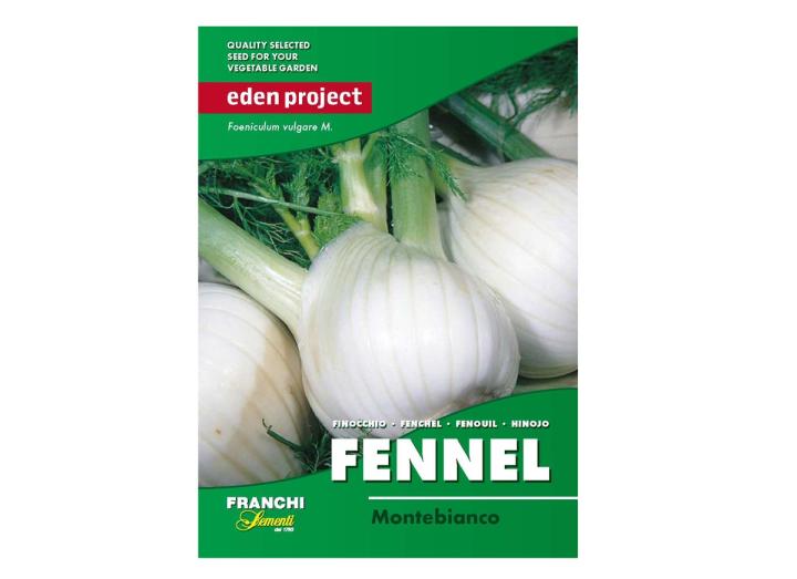 Fennel ‘Montebianco’ – Foeniculum vulgare