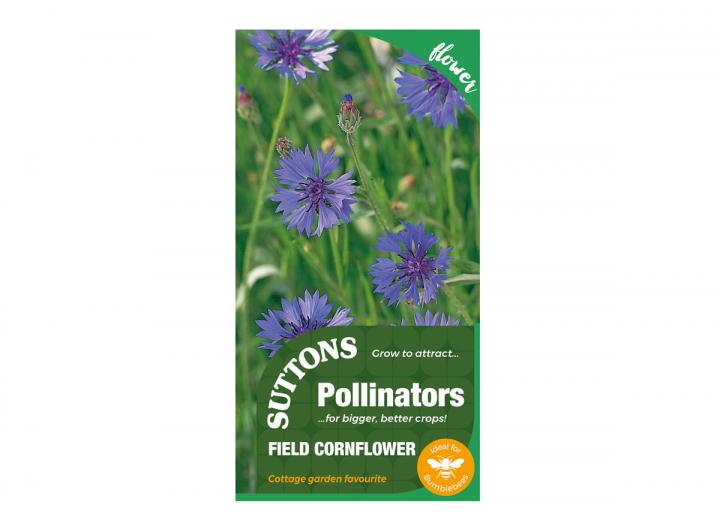 Field Cornflower seeds, part of the Pollinator range from Suttons Seeds