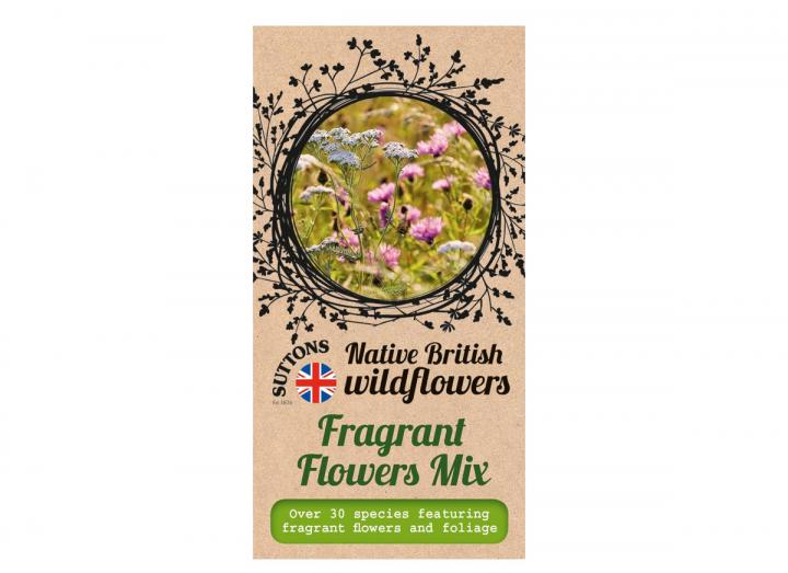 Native British wildflower seeds fragrant flower mix