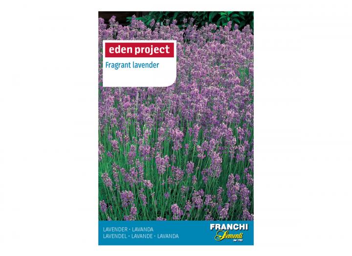 Fragrant lavender seeds