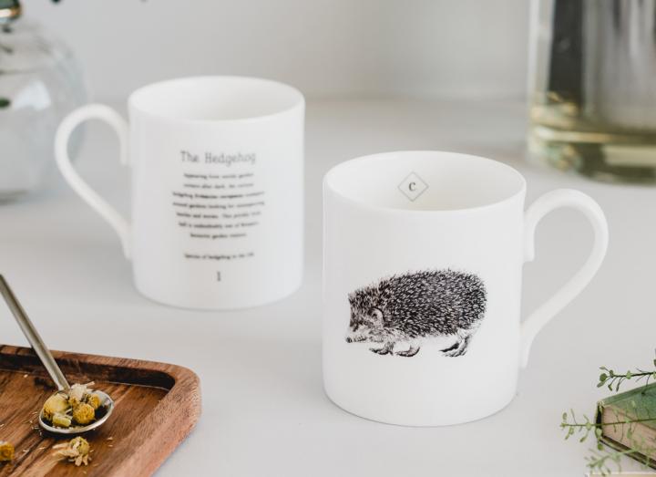 Hedgehog mug from Creature Candy
