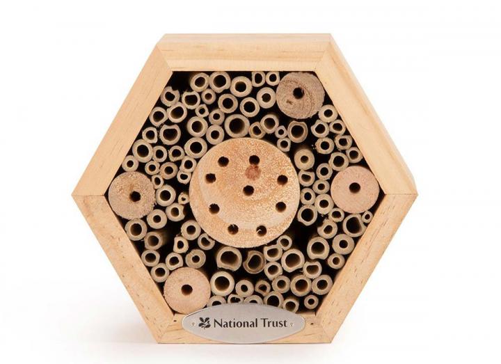 Hexagon insect house from CJ Wildlife