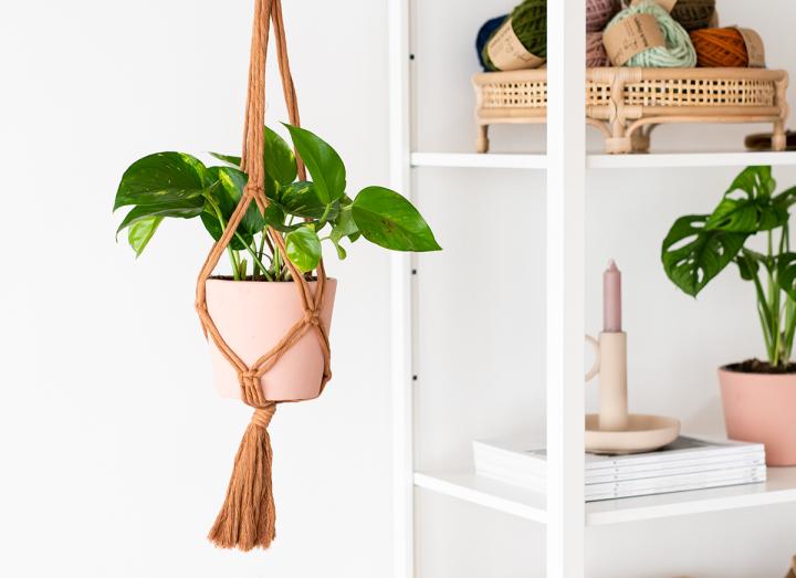 Plant hanger kit blush