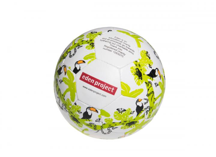 Eden football