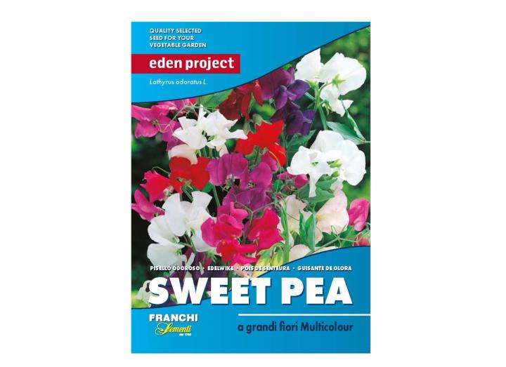Sweet pea ‘a grandi flori Multicolour’ – Lathyrus odoratus 