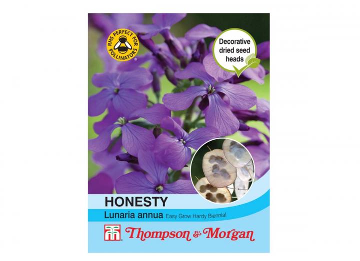 Honesty lunaria annua seeds from Thompson & Morgan