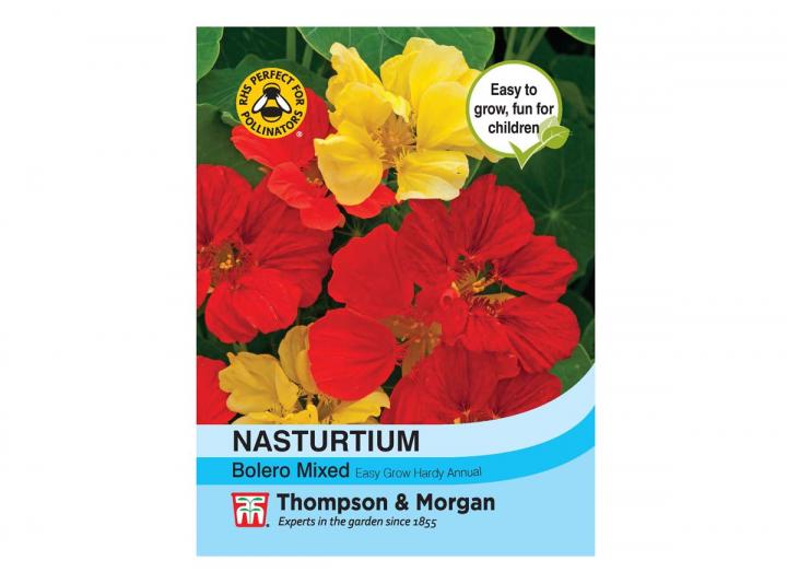 Nasturtium 'Bolero Mixed' seeds from Thompson & Morgan