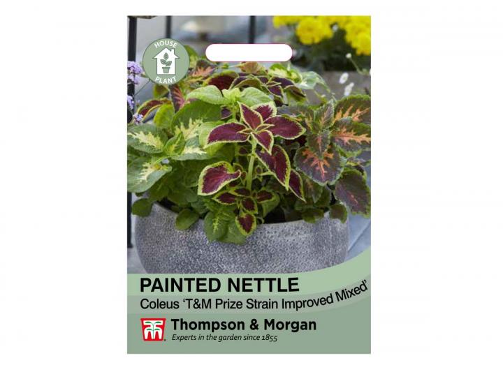 House plant seeds Eden Project Shop