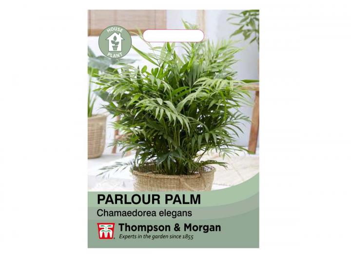 House plant seeds Eden Project Shop