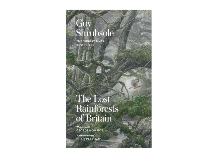 The lost rainforests of Britain