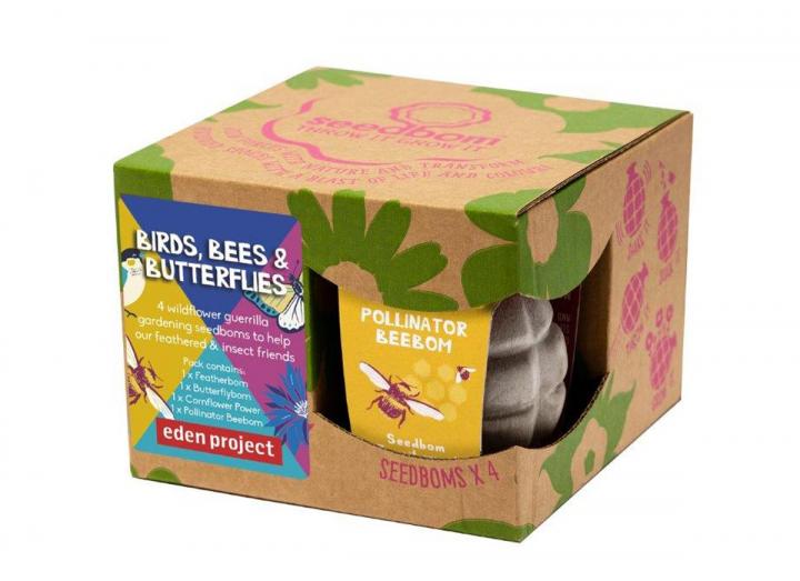 Wildflower seedbomb gift set