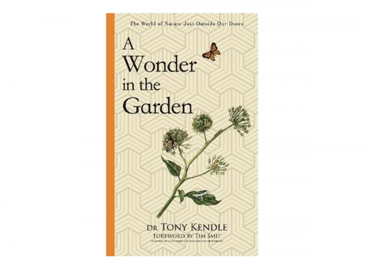 A wonder in the garden