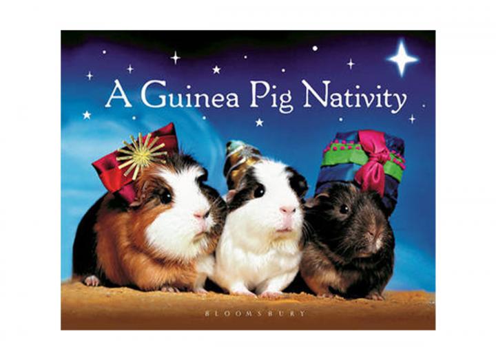 A guinea pig nativity