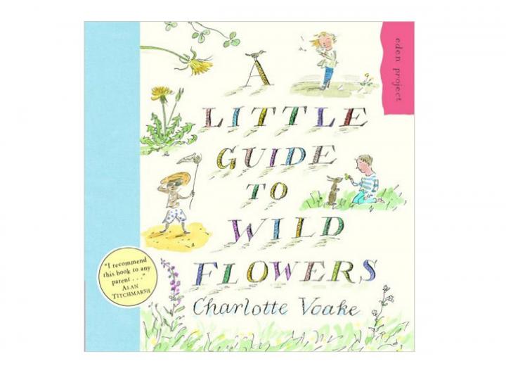 A little guide to wild flowers