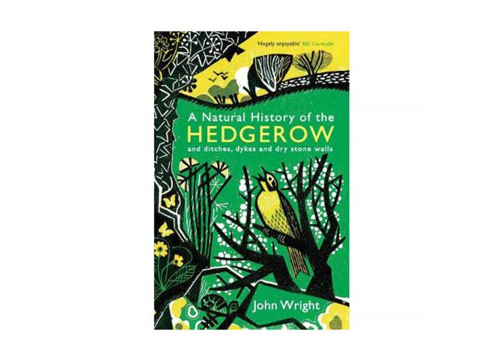 A natural history of the hedgerow
