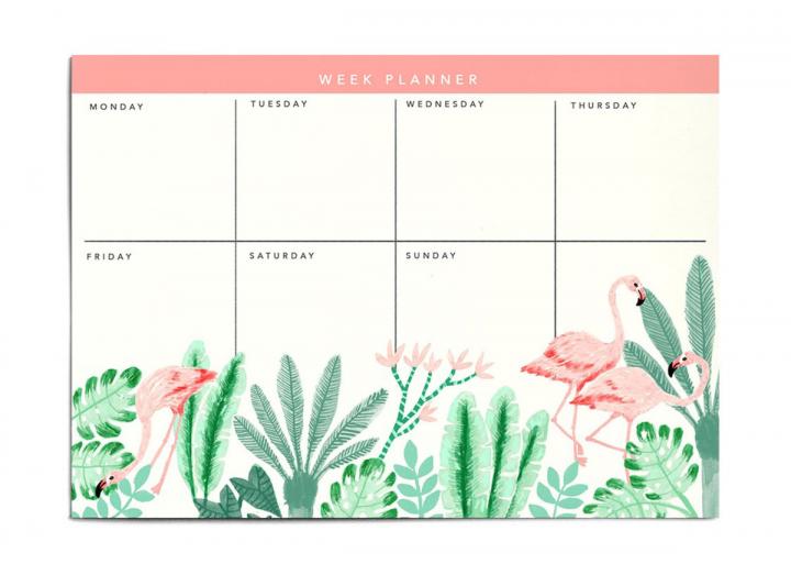 A6 Two Pack Notebook Sloth Illustration Eden Project Shop - 