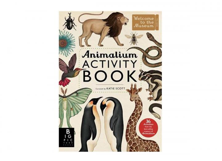 Animalium activity book
