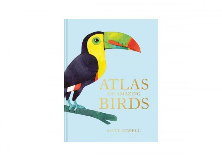 Atlas of amazing birds