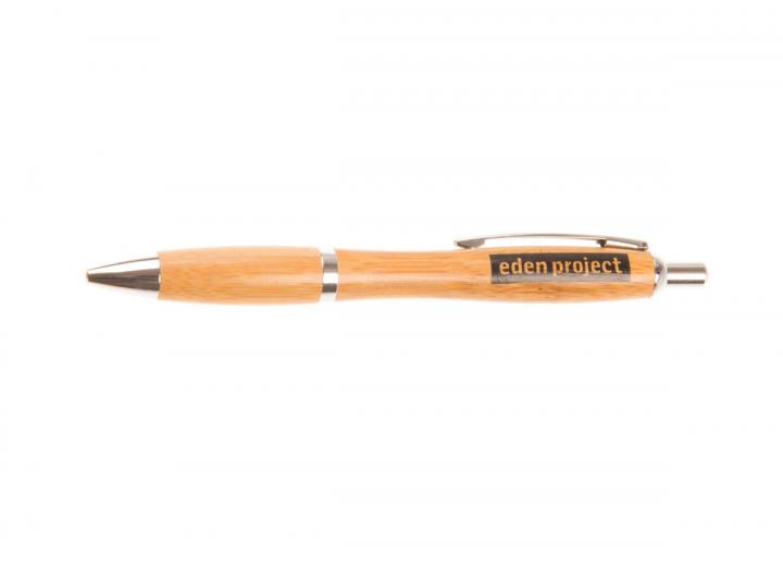 Bamboo pen