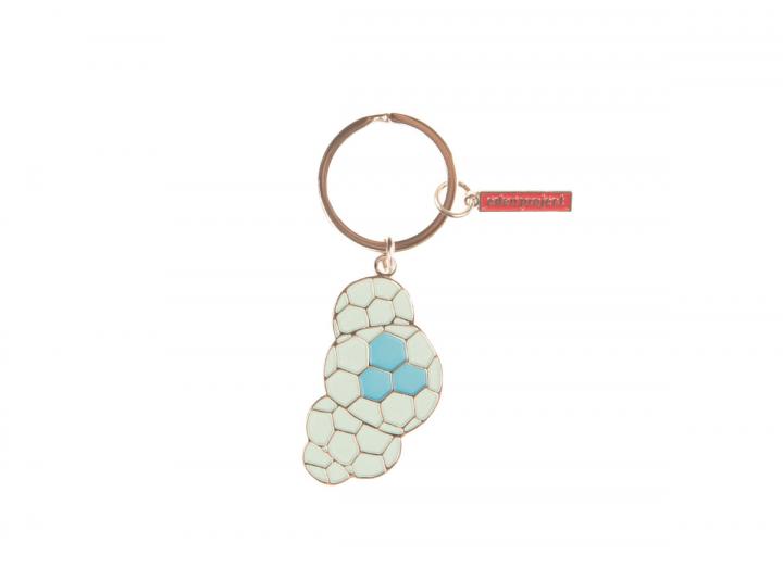 Biomes enamel keyring
