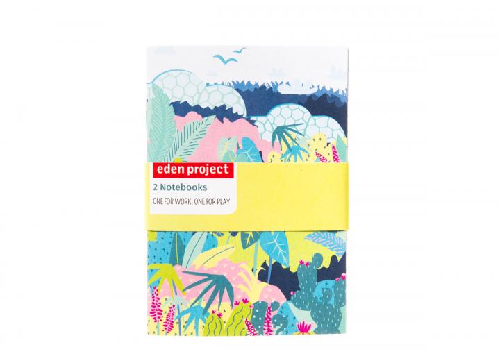 Biomes a6 two pack notebook