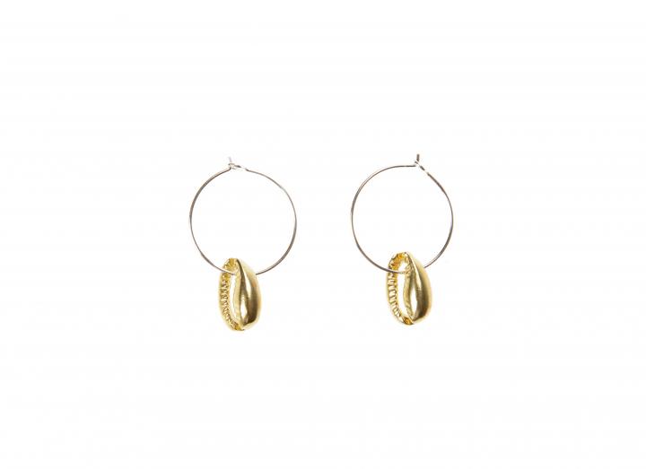 Brass cowrie earrings