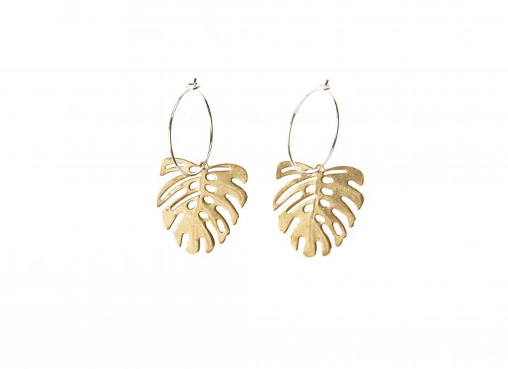 Brass monstera earrings
