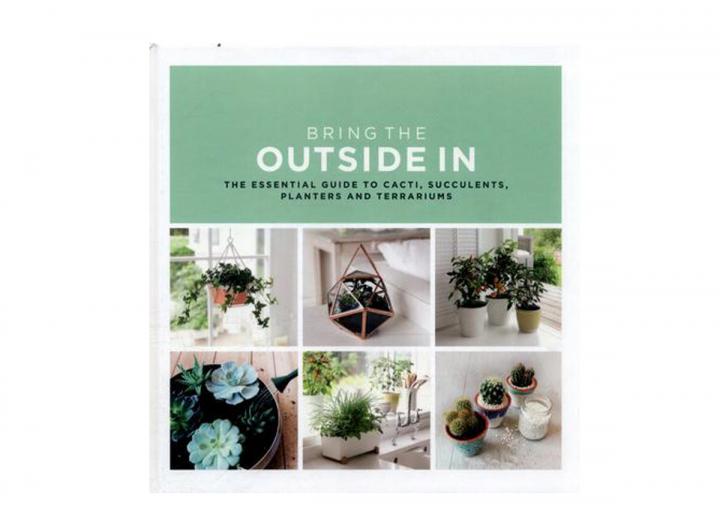 Bring the outside in
