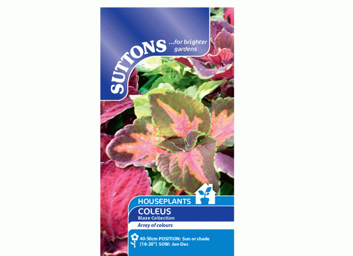 House plant seeds Eden Project Shop