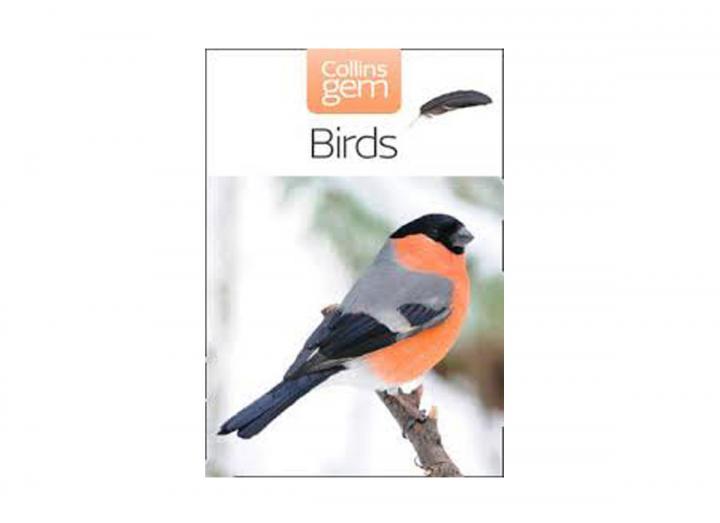 Collins gem birds