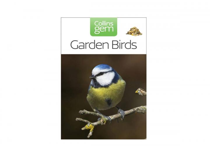 Collins gem garden birds