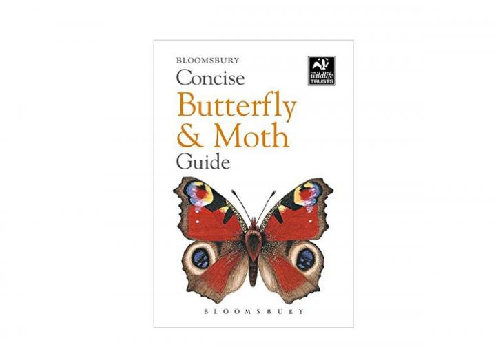 Concise butterfly and moth guide