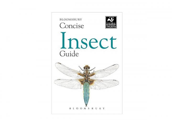 Concise insect guide