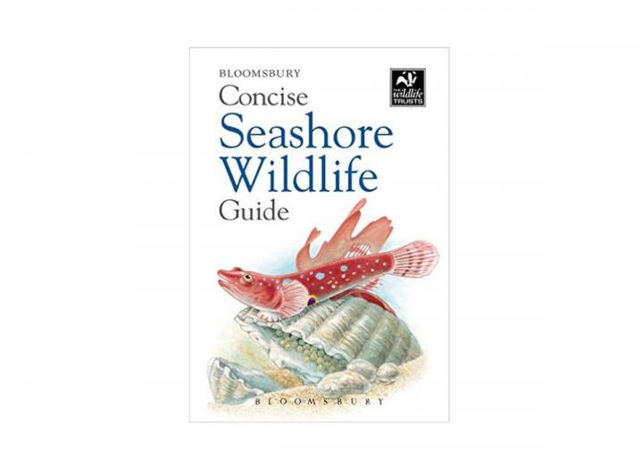 Concise seashore guide