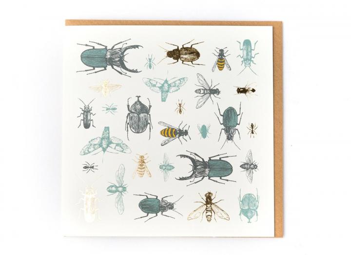 Eden Project insects card