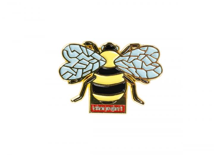 Enamel magnet