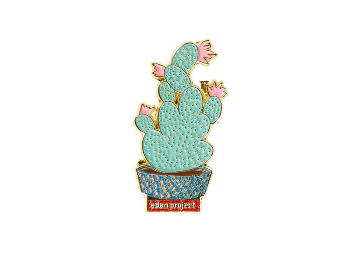 Enamel magnet