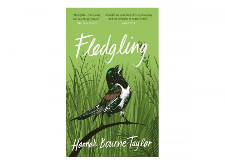 Fledging