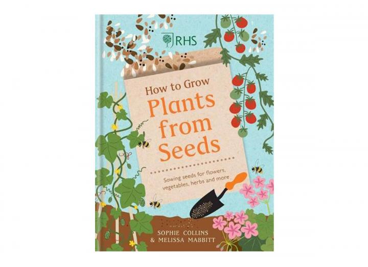 How to grow plants from seeds