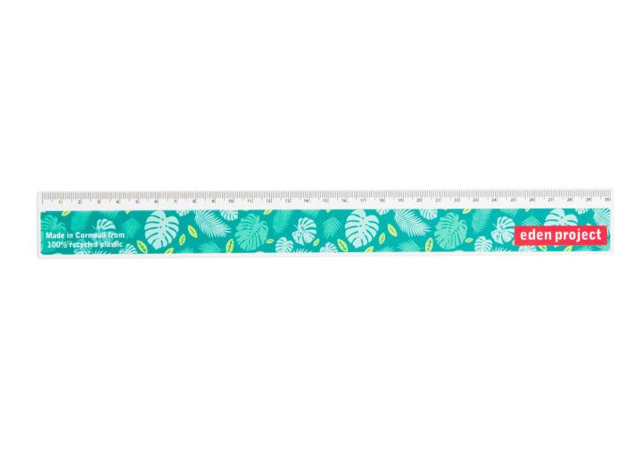 Lead print 30cm ruler