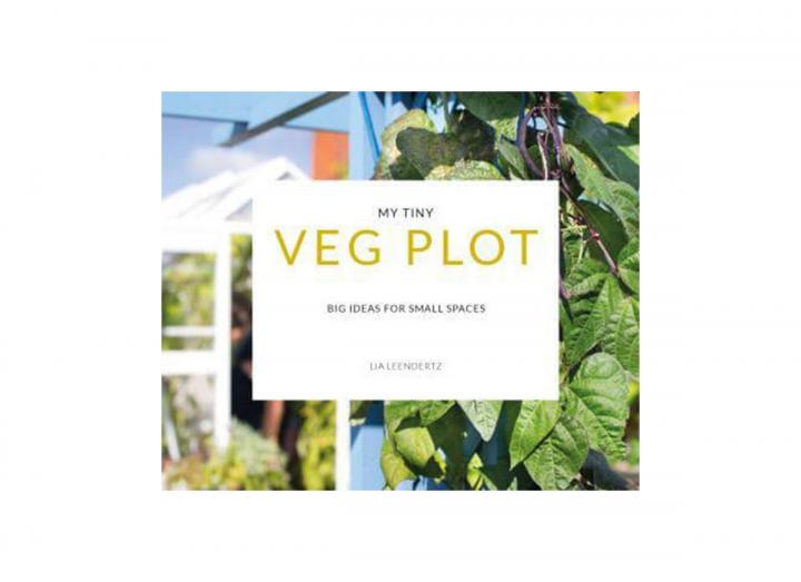 My tiny veg plot