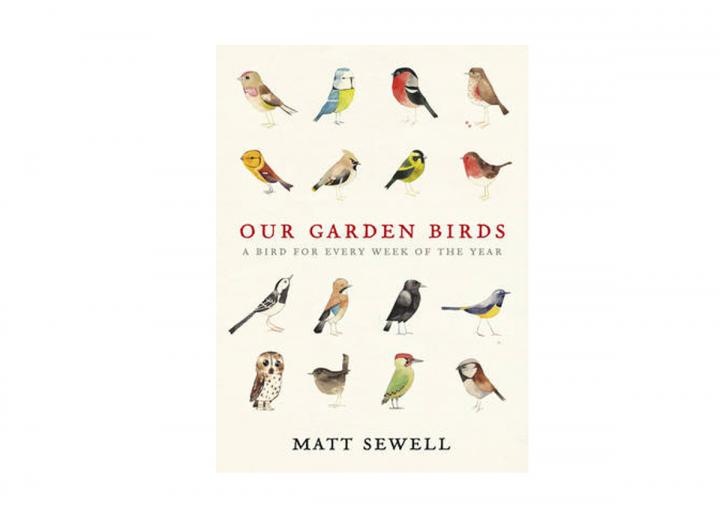 Our garden birds
