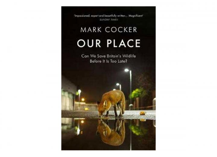 Our place