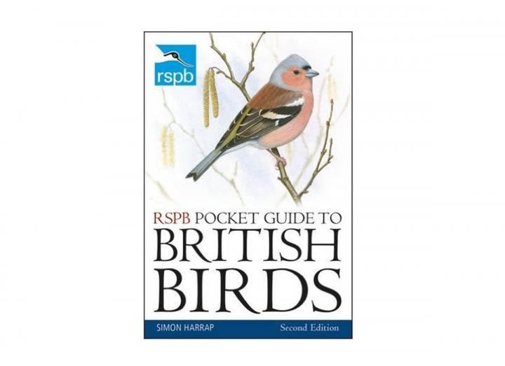 RSPB pocket guide to British birds