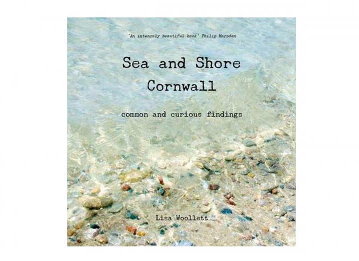Sea and shore Cornwall