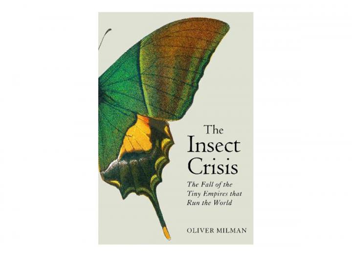 The insect crises