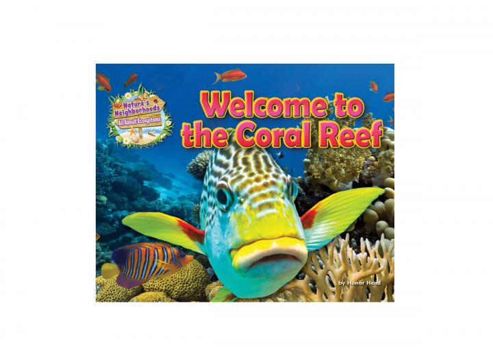 Welcome to the coral reef