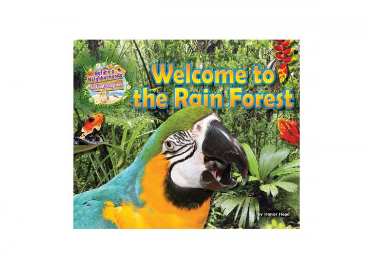Welcome to the rainforest