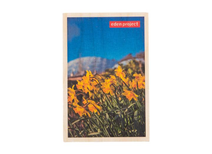 Wooden postcard daffodils
